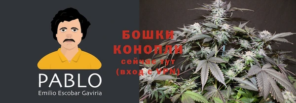 2c-b Ладушкин