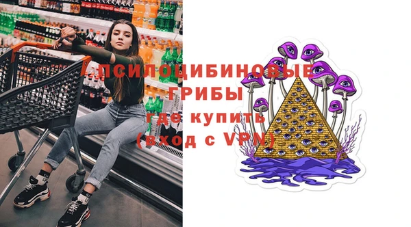 2c-b Ладушкин