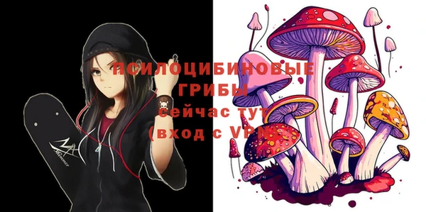 спайс Лагань