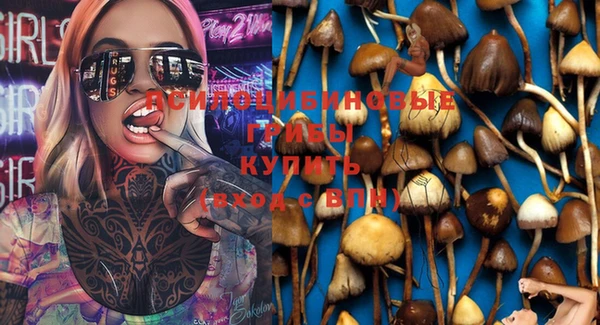 спайс Лагань