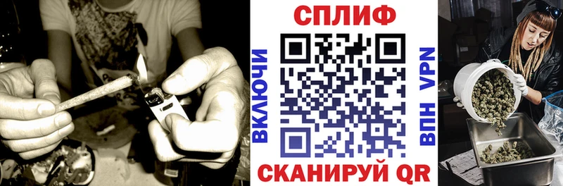 Каннабис OG Kush  Меленки 